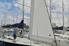 086088-nelson-marek-43-2