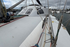 086088-nelson-marek-43-3