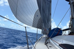 086088-nelson-marek-43-6