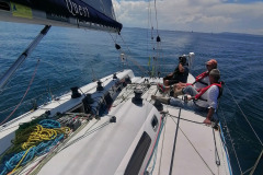 086088-nelson-marek-43-7