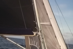 495178335_2211789469241562_208697056816127066_n