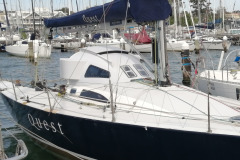 banner_086088-nelson-marek-43